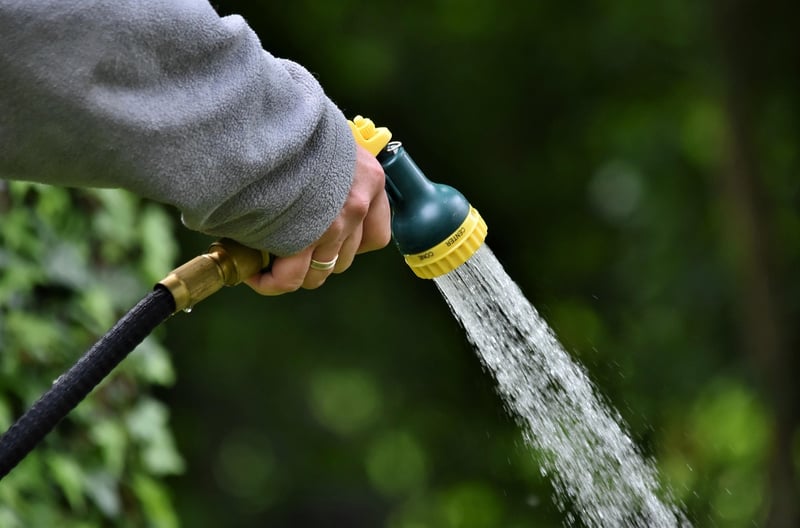 Watering plants